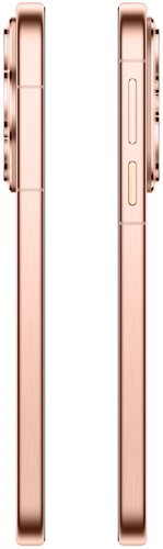 Смартфон HUAWEI Pura 80 12/256 Dual SIM (Hedy-L29BK) Frosted Gold фото 3