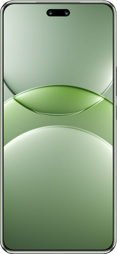 Смартфон HUAWEI NOVA 13 PRO 12/512GB (Milla-L29E) Loden Green фото 3